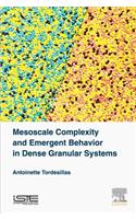 Mesoscale Complexity and Emergent Behavior in Dense Granular Systems