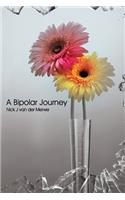 A Bipolar Journey