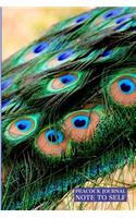 Peacock Journal Note to Self
