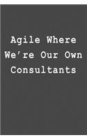 Agile Where We're Our Own Consultants: Blank Lined Journal