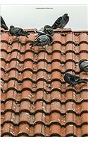 Pigeons on a Spanish Tile Roof Journal