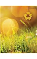 Bokeh Grass Sketchbook