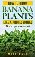 How to grow Banana Plants like a Professional