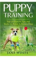 Puppy Training