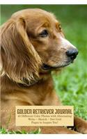 Golden Retriever Journal: Write Sketch Doodle