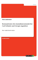 Konzeptionen des Ausnahmezustands bei Carl Schmitt und Giorgio Agamben