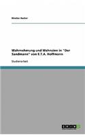 Wahrnehmung und Wahnsinn in Der Sandmann von E.T.A. Hoffmann