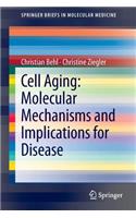 Cell Aging: Molecular Mechanisms and Implications for Disease