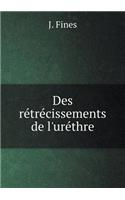 Des rétrécissements de l'uréthre