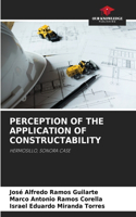 Perception of the Application of Constructability