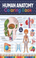 Human Anatomy Coloring Book For Kids