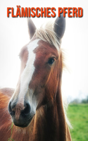 Flämisches Pferd: Schöne Bilder & Kinderbuch mit interessanten Fakten über Flämisches Pferd
