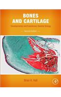Bones and Cartilage