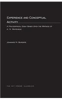 Experience and Conceptual Activity