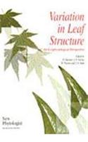 Variation in Leaf Structure: An Ecophysiological Perspective