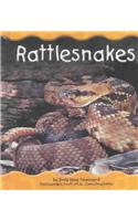 Rattlesnakes