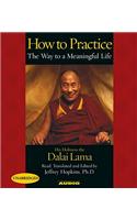 How to Practice: The Way to a Meaningful Life
