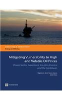 Mitigating Vulnerability to High and Volatile Oil Prices