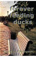 Forever Feeding Ducks