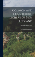 Common And Conspicuous Lichens Of New England