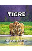 Tigre
