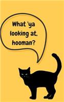 What 'ya Looking AT, Hooman?: Grumpy Kitty Grid Notebook for All Ages, Men, Women, Mom, Daughter