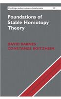 Foundations of Stable Homotopy Theory