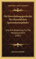 Entwickelungsgeschichte Des Menschlichen Speiserohrenepitheles: Und Ihre Bedeutung Fur Die Metaplasielehre (1907)