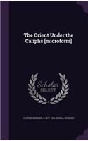 The Orient Under the Caliphs [microform]