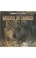 Wolves in Danger