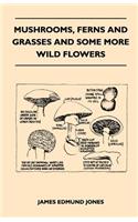 Mushrooms, Ferns And Grasses And Some More Wild Flowers