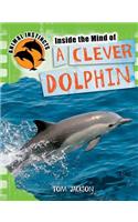 Inside the Mind of a Clever Dolphin