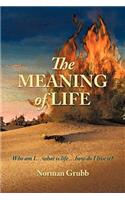 The Meaning of Life