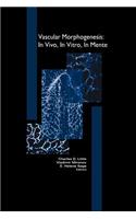 Vascular Morphogenesis: In Vivo, in Vitro, in Mente