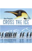 When Penguins Cross the Ice