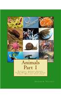 Animals Part 1