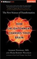 How Enlightenment Changes Your Brain