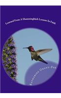 Learned From A Hummingbird: Lessons In Faith