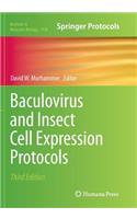 Baculovirus and Insect Cell Expression Protocols