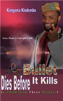 A Bullet Dies Before it Kills: A Child from Three Mothers(English)