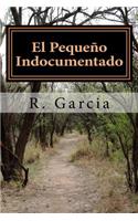 El Pequeño Indocumentado