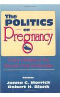 The Politics of Pregnancy