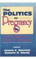 Politics of Pregnancy