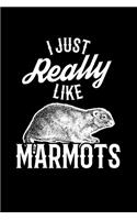 I Just Really Like Marmots