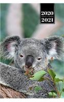 Koala Bear Rainforest Week Planner Weekly Organizer Calendar 2020 / 2021 - Tired Eyes