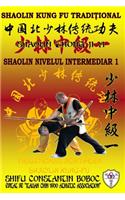 Shaolin Nivelul Intermediar 1