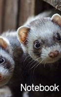 Notebook: Ferret Notebook; I love Ferrets; Ferrets are the best; Cute animal notebook; 6x9inch with 108-wide lined pages (Glossy)