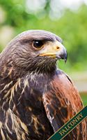 Falconry: Desert Hawk, Desert Buzzard, Harris Hawk. Format A5, 120 pages, fine light grey lined. Daily entries, notes and journal for the falconer, the falcon