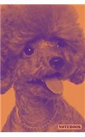 Notebook: Standard Miniature Toy Poodle Dog Diary Journal (Orange)