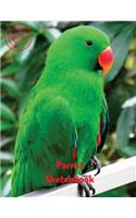 Parrot Sketchbook: (Sketchbook for Girls)